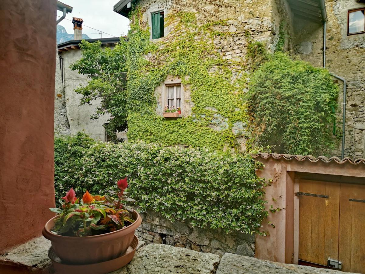 Alla Torre Del Barbarossa B&B Foresteria Mandello del Lario Exterior photo